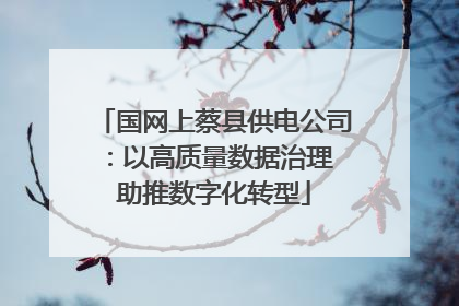 国网上蔡县供电公司：以高质量数据治理 助推数字化转型