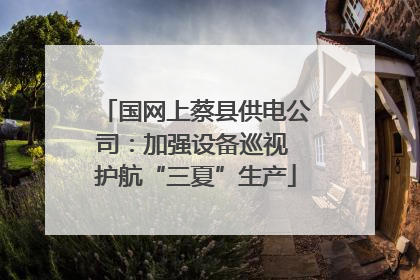 国网上蔡县供电公司：加强设备巡视 护航“三夏”生产