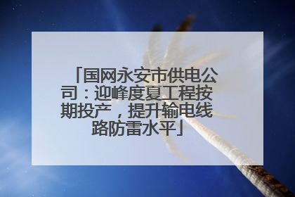 国网永安市供电公司：迎峰度夏工程按期投产，提升输电线路防雷水平
