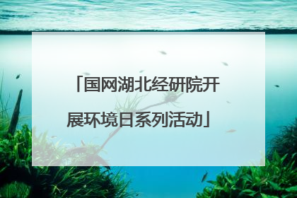 国网湖北经研院开展环境日系列活动