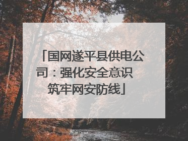国网遂平县供电公司：强化安全意识 筑牢网安防线