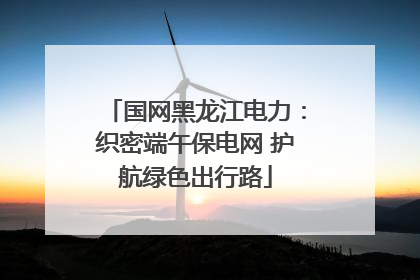 国网黑龙江电力：织密端午保电网 护航绿色出行路