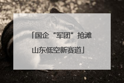 国企“军团”抢滩山东低空新赛道