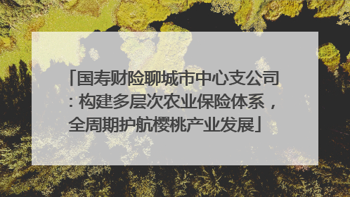 国寿财险聊城市中心支公司：构建多层次农业保险体系，全周期护航樱桃产业发展