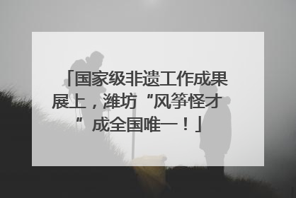 国家级非遗工作成果展上，潍坊“风筝怪才”成全国唯一！