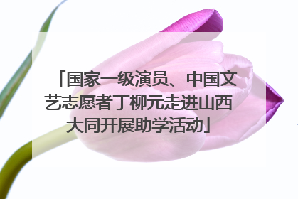 国家一级演员、中国文艺志愿者丁柳元走进山西大同开展助学活动