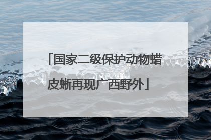 国家二级保护动物蜡皮蜥再现广西野外