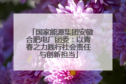 国家能源集团安徽合肥电厂团委：以青春之力践行社会责任与创新担当