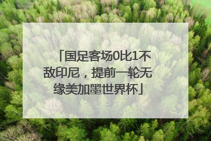 国足客场0比1不敌印尼，提前一轮无缘美加墨世界杯