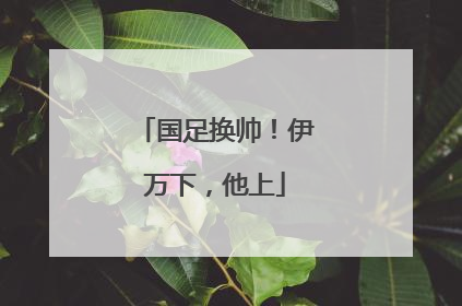 国足换帅！伊万下，他上