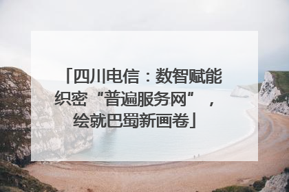 四川电信：数智赋能织密“普遍服务网”，绘就巴蜀新画卷