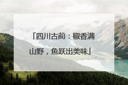 四川古蔺：椒香满山野，鱼跃出美味