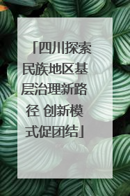 四川探索民族地区基层治理新路径 创新模式促团结