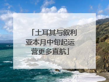 土耳其与叙利亚本月中旬起运营更多直航