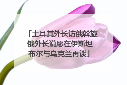 土耳其外长访俄斡旋 俄外长说愿在伊斯坦布尔与乌克兰再谈
