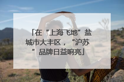 在“上海飞地”盐城市大丰区，“沪苏”品牌日益响亮