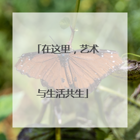 在这里，艺术与生活共生