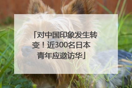 对中国印象发生转变！近300名日本青年应邀访华