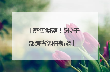 密集调整！5位干部跨省调任新疆