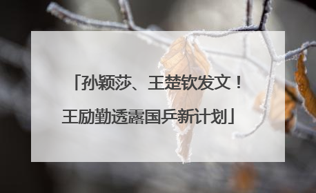 孙颖莎、王楚钦发文！王励勤透露国乒新计划