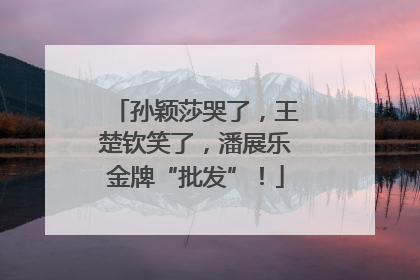 孙颖莎哭了，王楚钦笑了，潘展乐金牌“批发”！