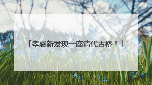 孝感新发现一座清代古桥！