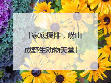 家底摸排，崂山成野生动物天堂
