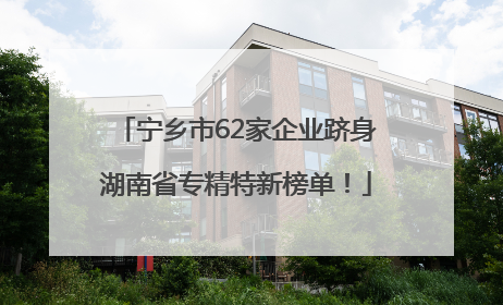 宁乡市62家企业跻身湖南省专精特新榜单！