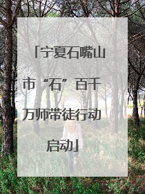宁夏石嘴山市“石”百千万师带徒行动启动