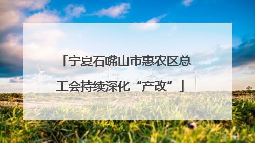 宁夏石嘴山市惠农区总工会持续深化“产改”
