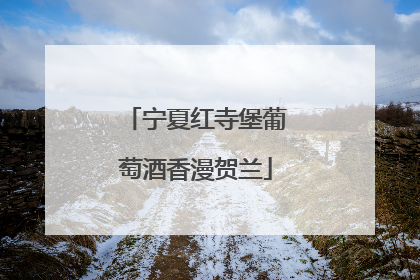 宁夏红寺堡葡萄酒香漫贺兰
