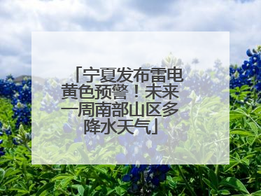 宁夏发布雷电黄色预警！未来一周南部山区多降水天气