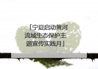 宁夏启动黄河流域生态保护主题宣传实践月