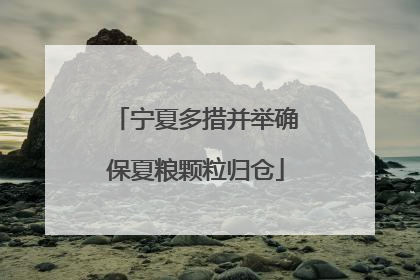 宁夏多措并举确保夏粮颗粒归仓