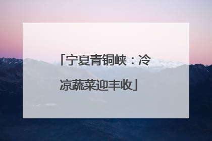 宁夏青铜峡：冷凉蔬菜迎丰收