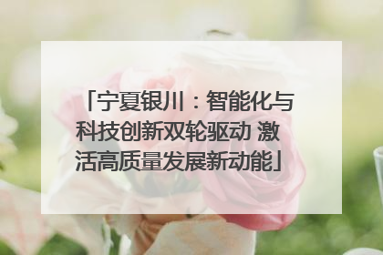 宁夏银川：智能化与科技创新双轮驱动 激活高质量发展新动能