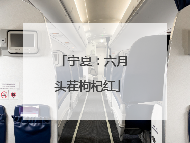 宁夏：六月头茬枸杞红