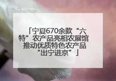 宁夏670余款“六特”农产品亮相农展馆 推动优质特色农产品“出宁进京”