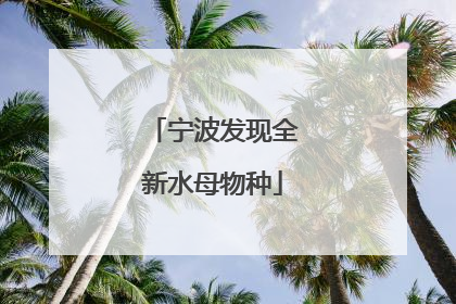宁波发现全新水母物种