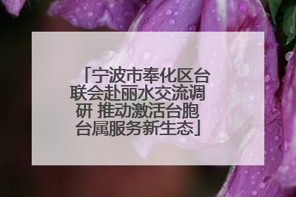 宁波市奉化区台联会赴丽水交流调研 推动激活台胞台属服务新生态