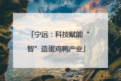 宁远：科技赋能“智”造蛋鸡鸭产业