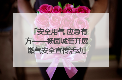 安全用气 应急有方——杨园城管开展燃气安全宣传活动