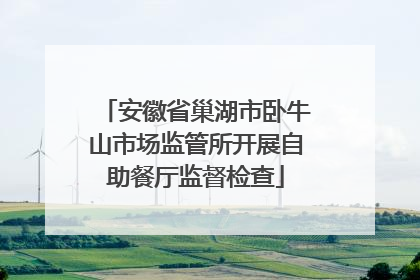 安徽省巢湖市卧牛山市场监管所开展自助餐厅监督检查