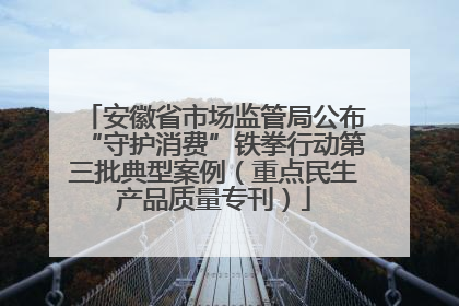 安徽省市场监管局公布“守护消费”铁拳行动第三批典型案例（重点民生产品质量专刊）