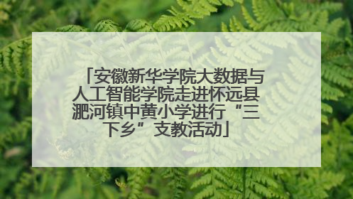 安徽新华学院大数据与人工智能学院走进怀远县淝河镇中黄小学进行“三下乡”支教活动
