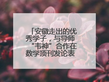 安徽走出的优秀学子，与导师“韦神”合作在数学顶刊发论表重要科研成果