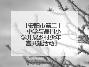 安阳市第二十一中学与磊口小学开展乡村少年宫共建活动