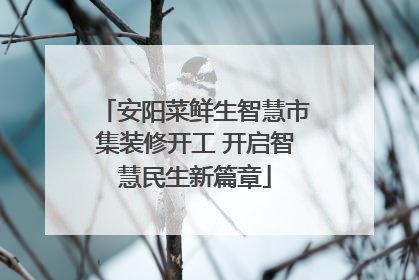 安阳菜鲜生智慧市集装修开工 开启智慧民生新篇章