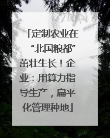 定制农业在“北国粮都”茁壮生长！企业：用算力指导生产，扁平化管理种地