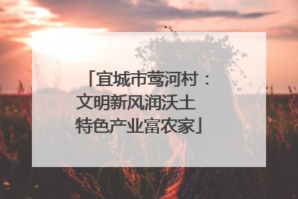 宜城市莺河村：文明新风润沃土 特色产业富农家